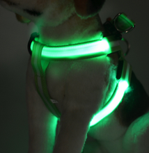 Load image into Gallery viewer, LED Dog Harness For Small & Large Dogs
